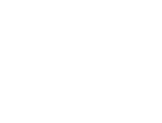 MedMinds Logo